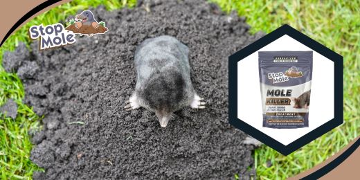 ¿Cuáles son los ingredientes activos del tratamiento Stop Mole?