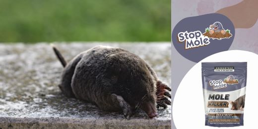 ¿Es el tratamiento Stop Mole ecológico?